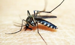 São Paulo confirma segunda morte por dengue