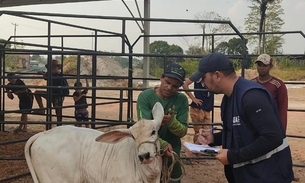Foto: Divulgação/Adaf