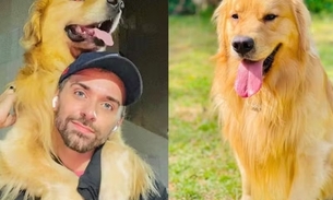 Morte de golden em voo da Gol é investigada; regras para transporte de pets devem ser revisadas