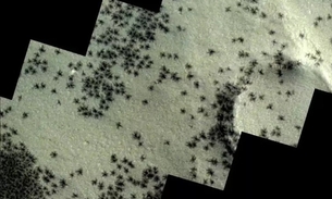 Sonda captura imagens de aranhas em Marte; saiba o que realmente elas são