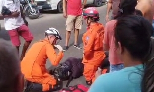 Motociclista sofre grave acidente ao atropelar cachorro na Compensa; vídeo