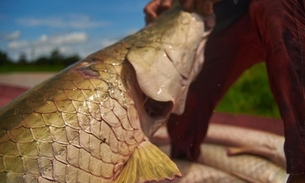 Feira do Pirarucu terá pescado a partir de R$ 5 neste sábado em Manaus