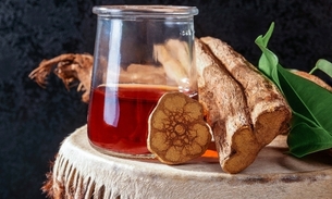 MPF investiga prisões indevidas por consumo de chá de ayahuasca