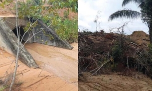 MPAM vai investigar empresas por derrubarem árvores de área de proteção no Tarumã