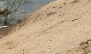 Corpo está próximo à margem - Foto: Neto Silva/Portal do Holanda