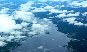 Foto: Divulgação Ipaam