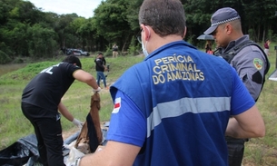 Foto: Jander Robson / Portal do Holanda