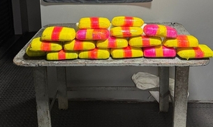 Drogas valem R$ 1 milhão - Foto: Divulgação 