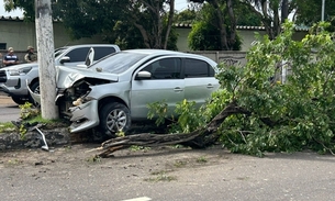 Foto: Jander Robson / Portal do Holanda