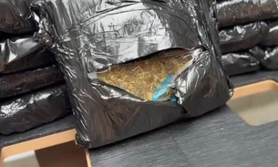 Drogas apreendidas - Foto: Jander Robson/Portal do Holanda