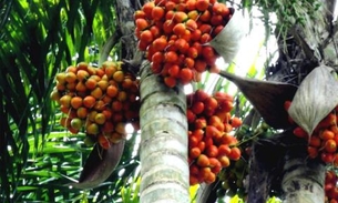 Dani Vieira usa fio dental e exibe corpão em dia de praia 