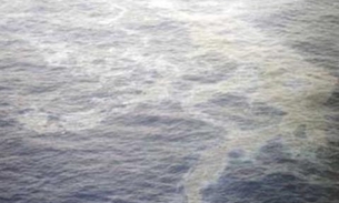 Empresa é multada em R$300 mil por poluir Rio Negro