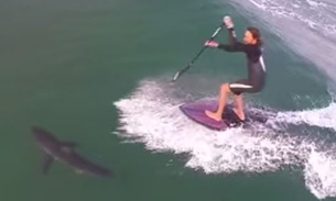 Sem perceber, surfista passa por cima de tubarão durante SUP