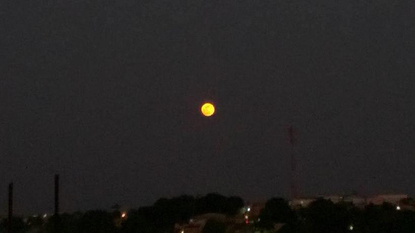 Foto: Ricardo Noronha