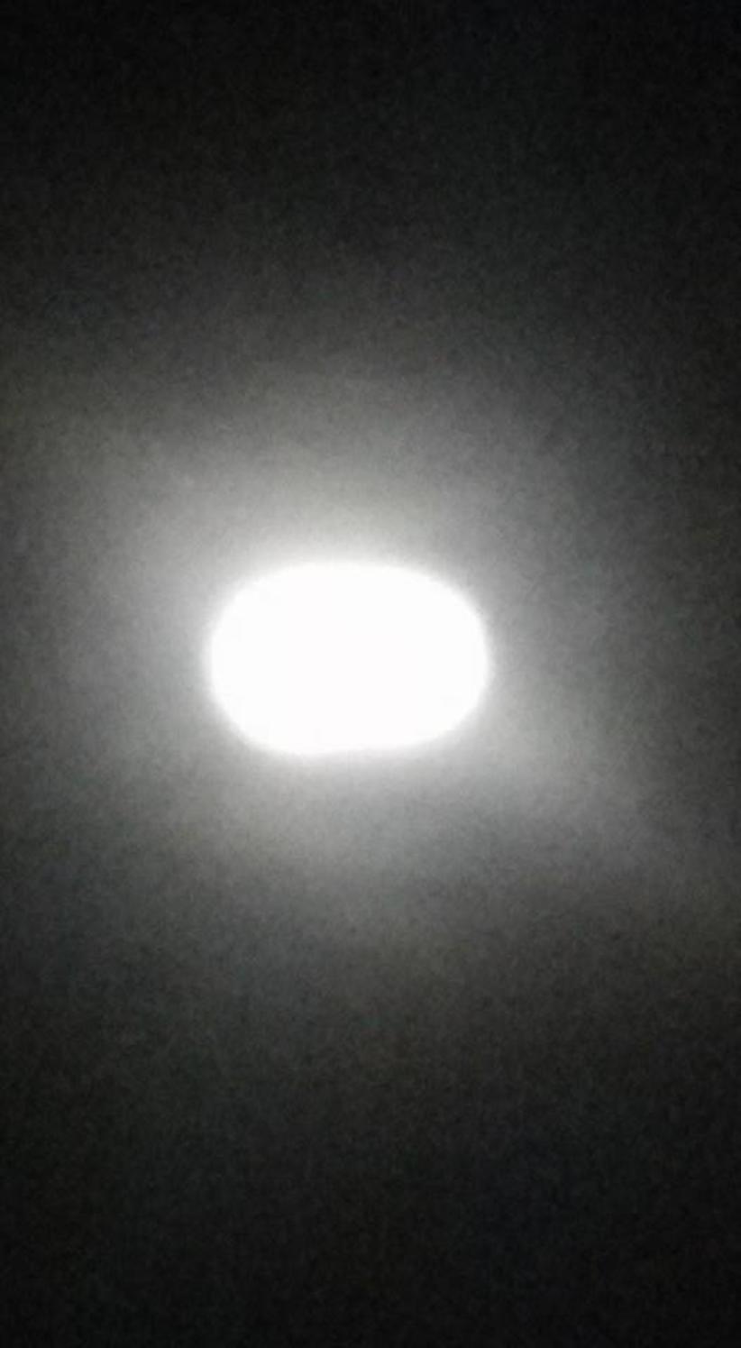 Foto: Manuel Oliveira