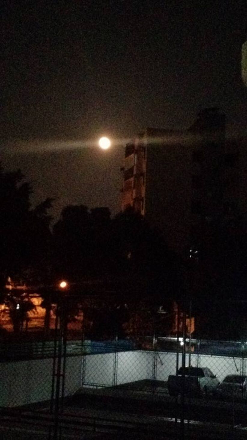 Foto: Jéssica Swaze Alves