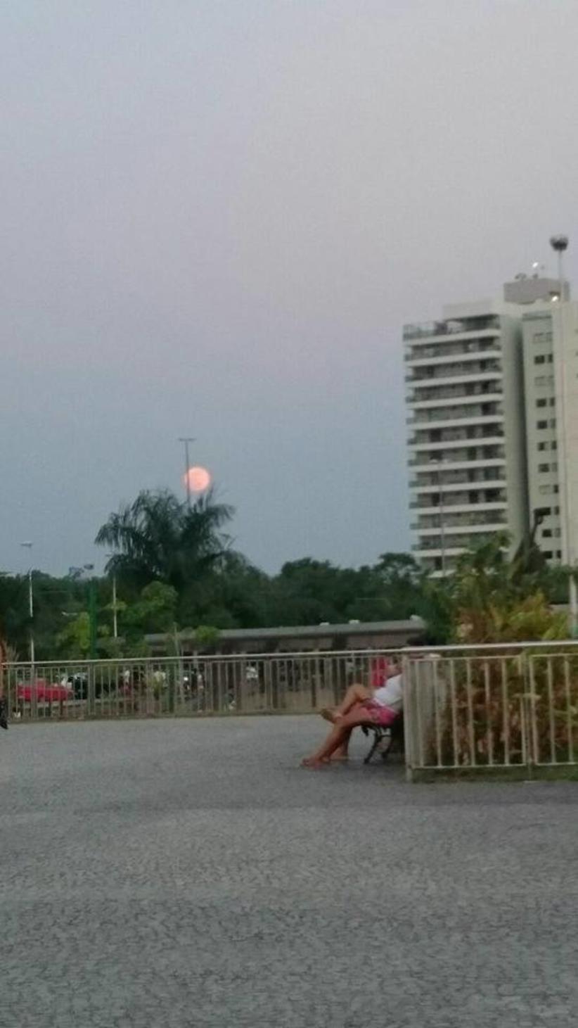 Foto: Carly Rodrigues