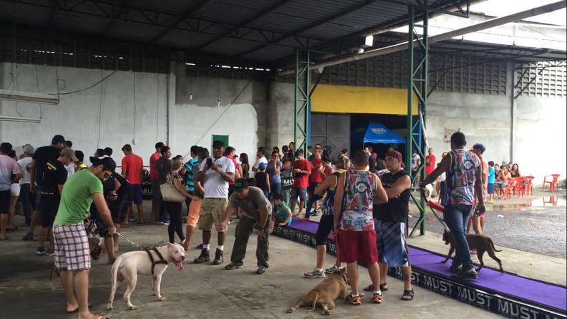 Foto: Dalmarcio Fernandes