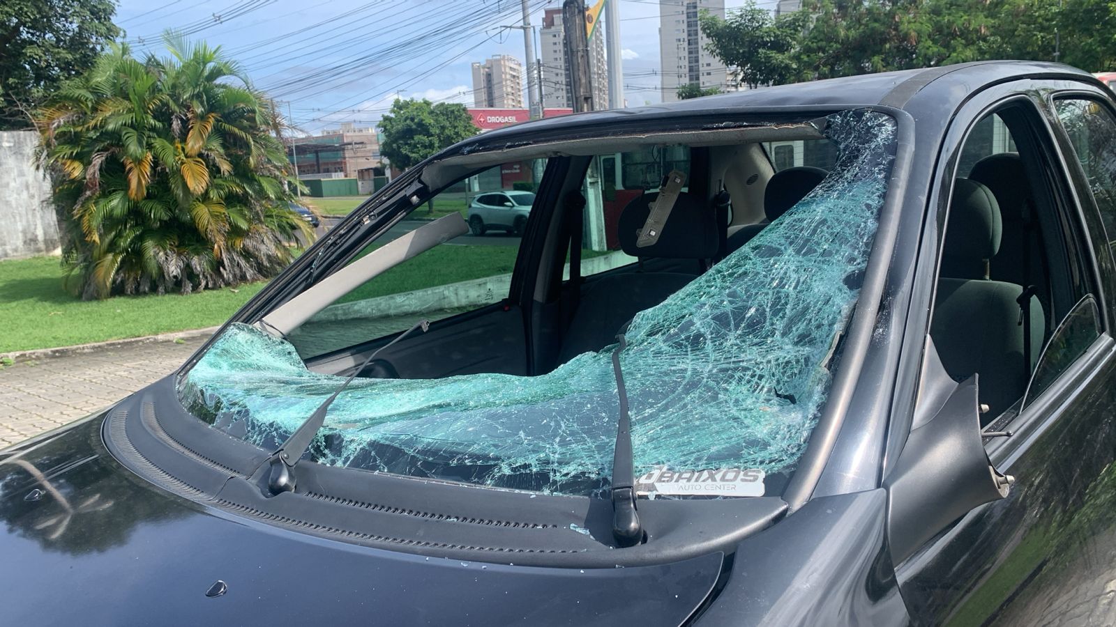 Foto: Caio Guarlotte / Portal do Holanda