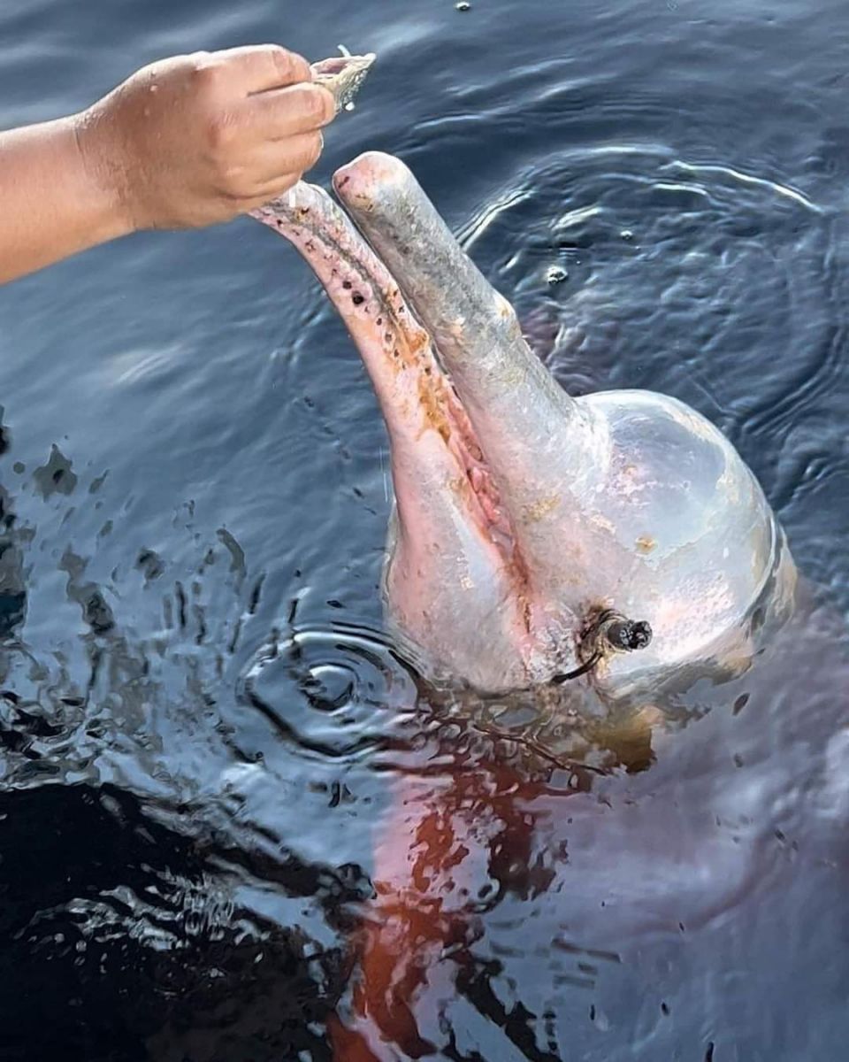 Foto: Reprodução Instagram