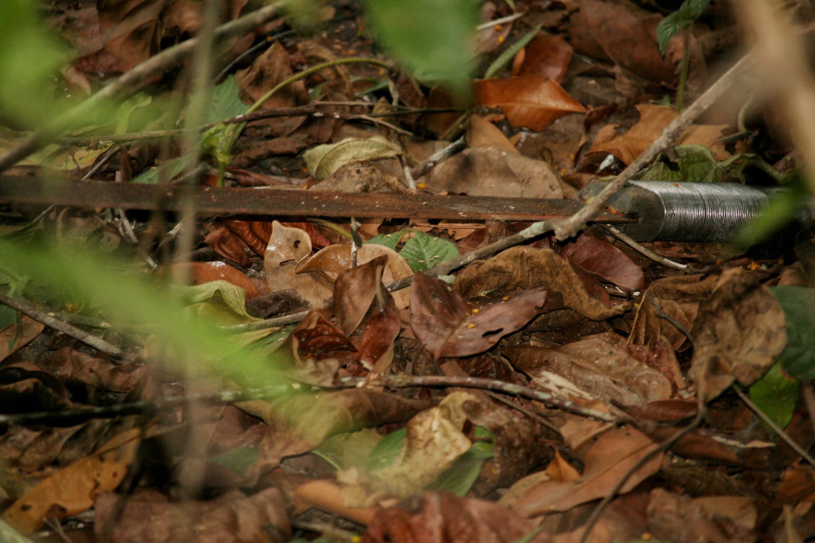 Arma usada no crime -  Foto: Jander Robson /Portal do Holanda