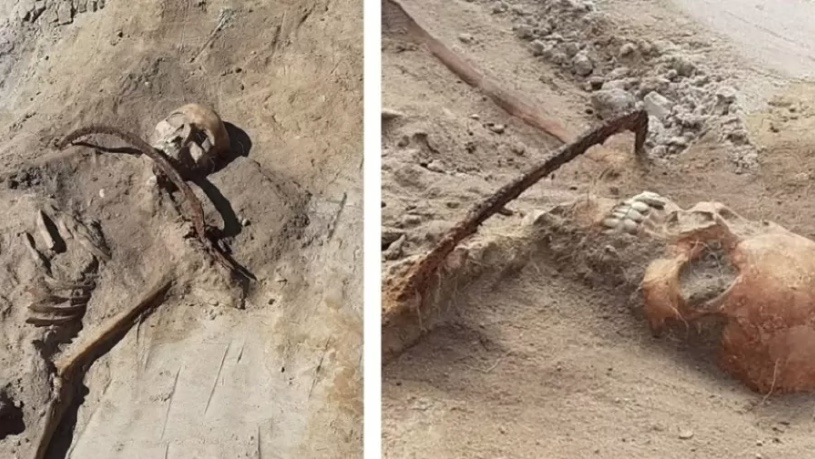 Divulgação / Mirosław Blicharski / Aleksander Poznań