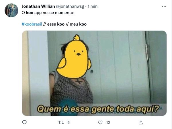 Koo: Rede social vira meme entre brasileiros: Liberei para quem quiser