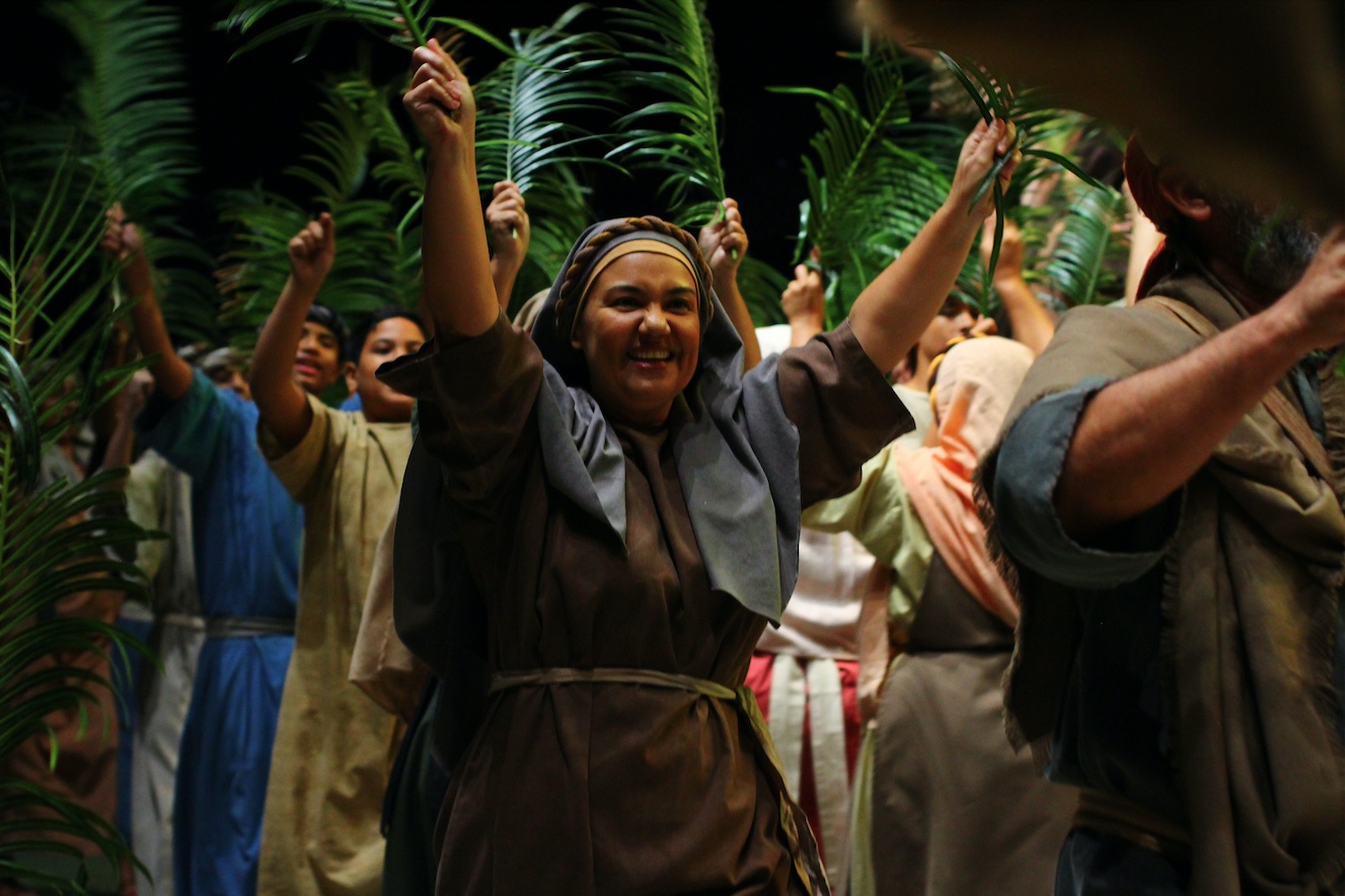 Foto: Divulgação IPManaus