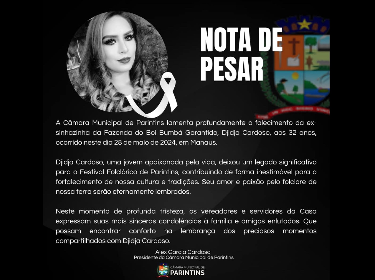 Foto: Reprodução/Facebook - Câmara Municipal de Parintins