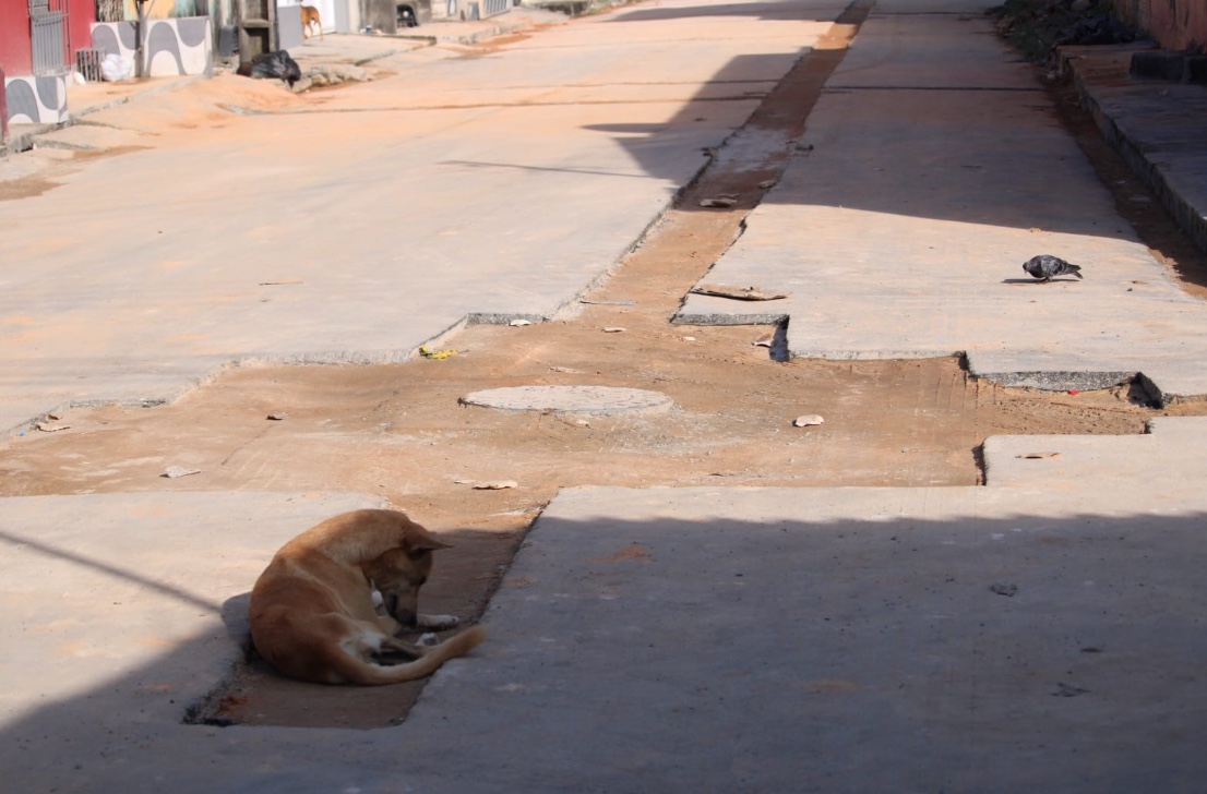 Foto: Ronaldo Siqueira/Portal do Holanda