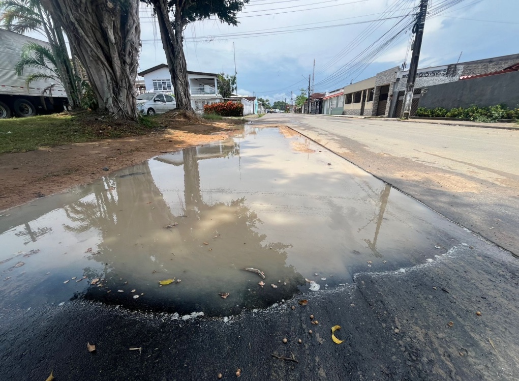 Foto: Jander Robson/Portal do Holanda