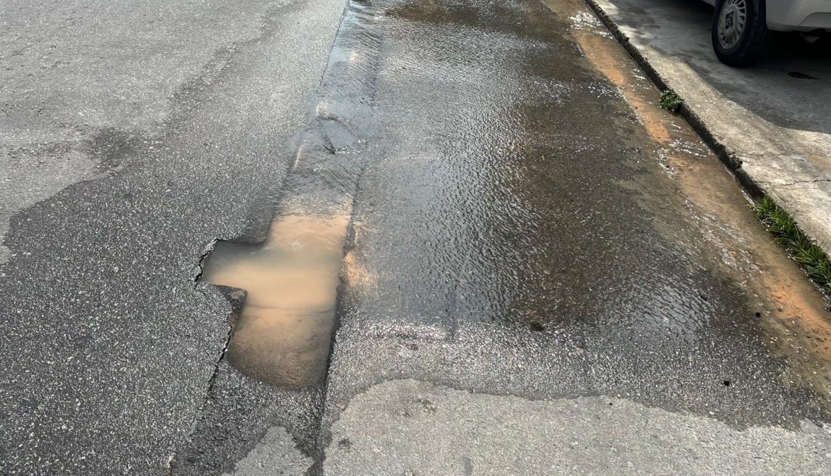 Foto: Paulo Rabelo/Portal do Holanda