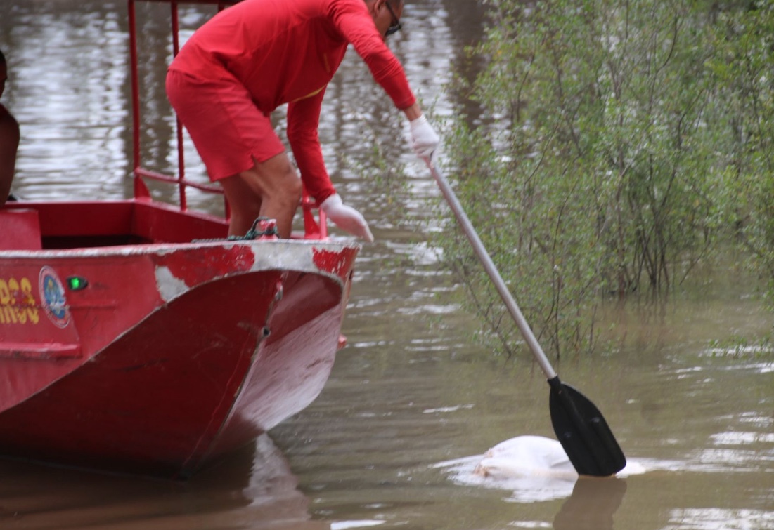 Foto: Jander Robson / Portal do Holanda