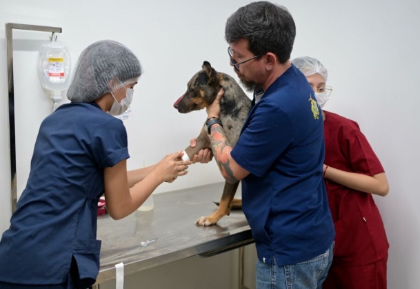 Foto: Divulgação/Sepet