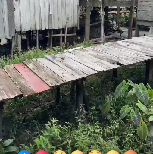 Foto: Neto Silva/Portal do Holanda