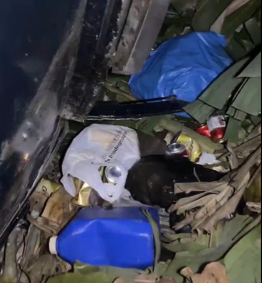 Latas de cerveja - Foto: Reprodução/Facenook- Anderson Batista