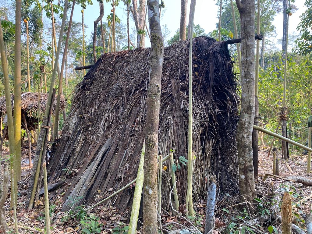 Foto: Reprodução/Twitter