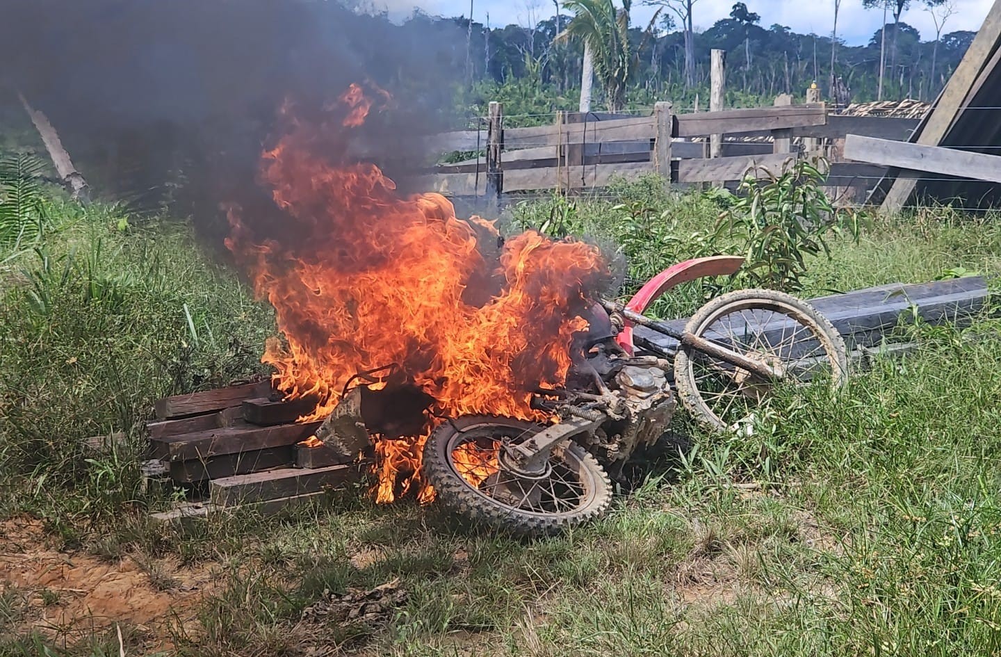Foto: Divulgação/Ipaam