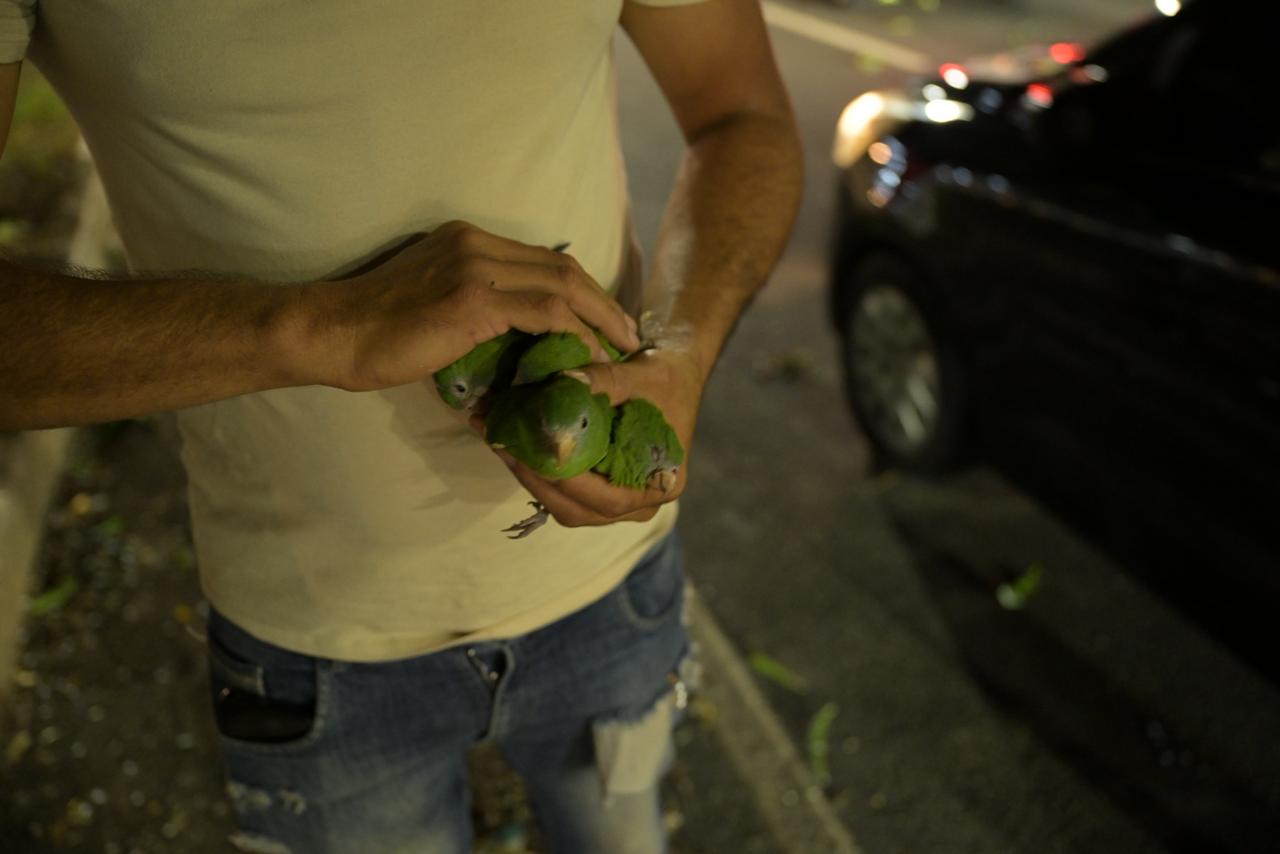 Foto: Joedi Porto/Sepet