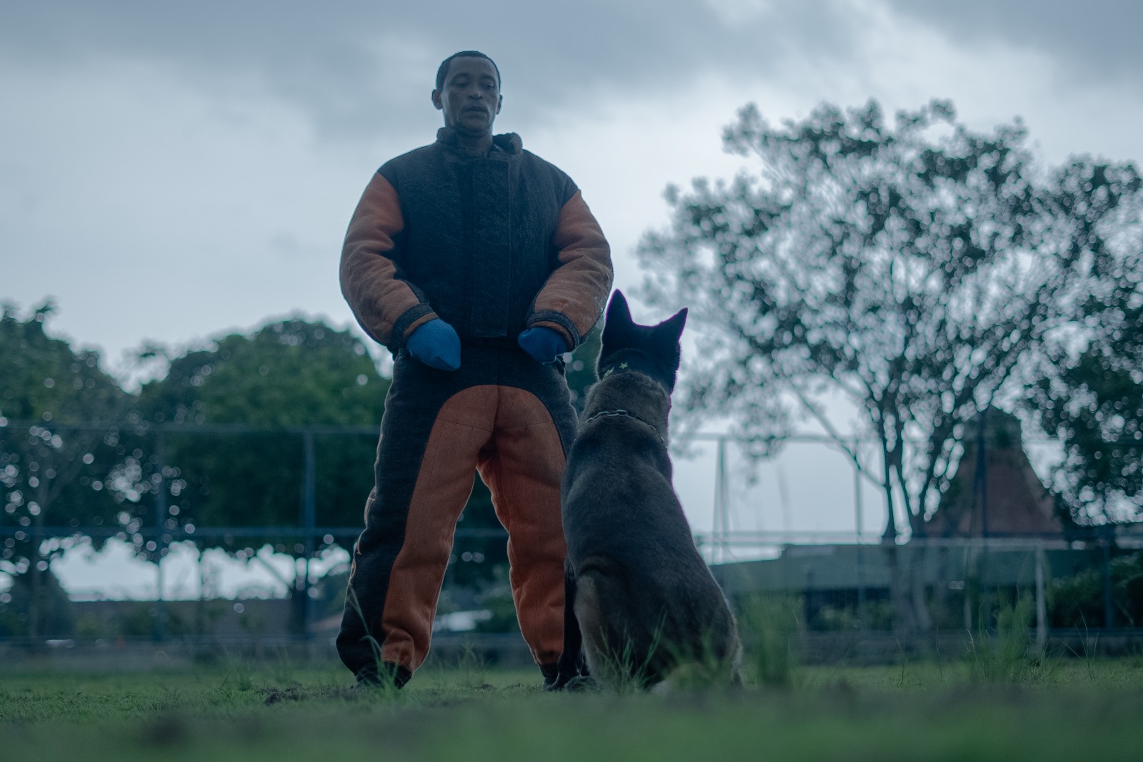 Foto: Vicente Silva / PMAM