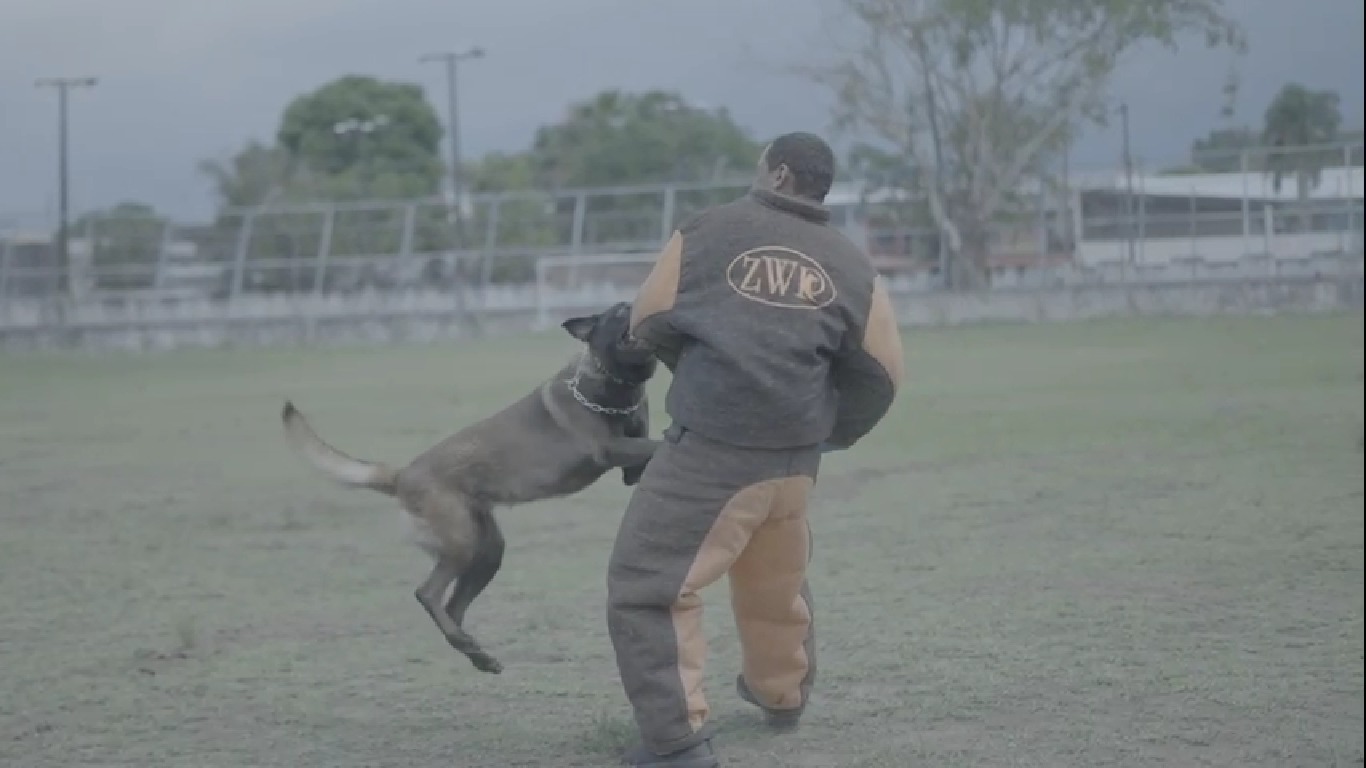 Foto: Divulgação PM-AM