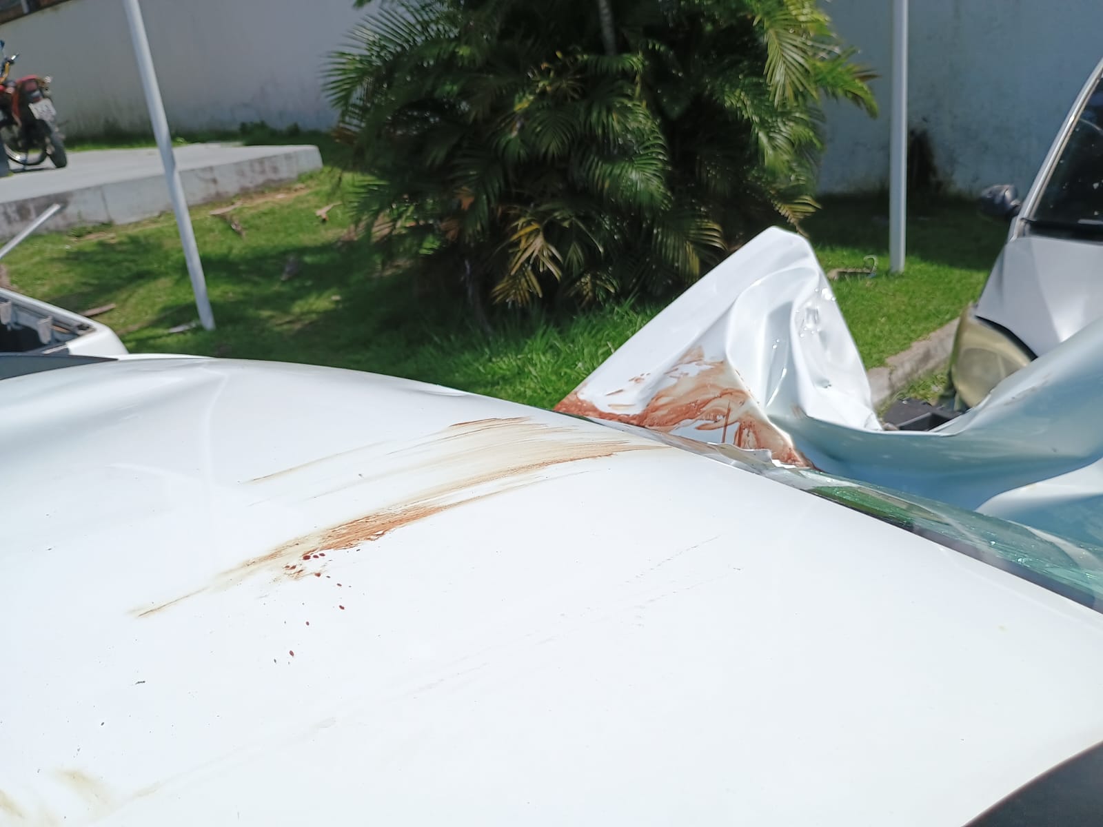 Foto: Jander Robson/Portal do Holanda