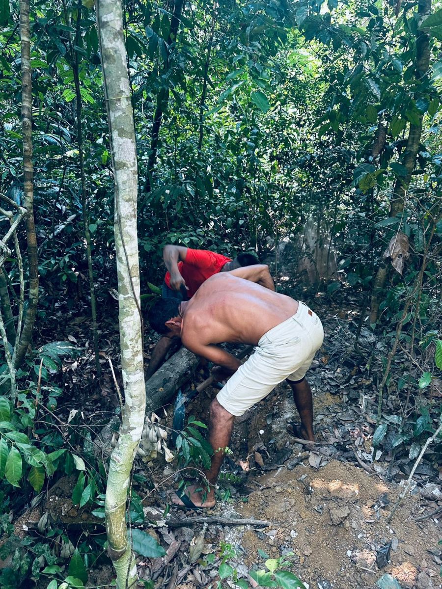 Foto: Neto Silva/Portal do Holanda