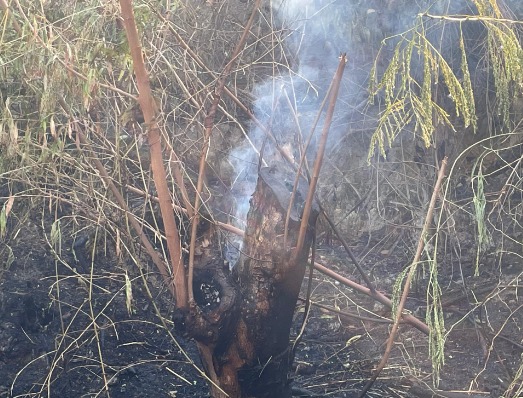 Foto: Jander Robson/Portal do Holanda