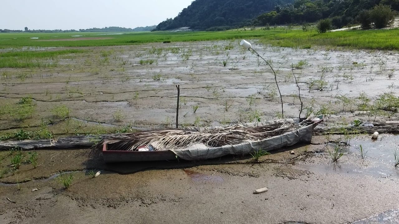 Imagens: Jander Robson/Portal do Holanda