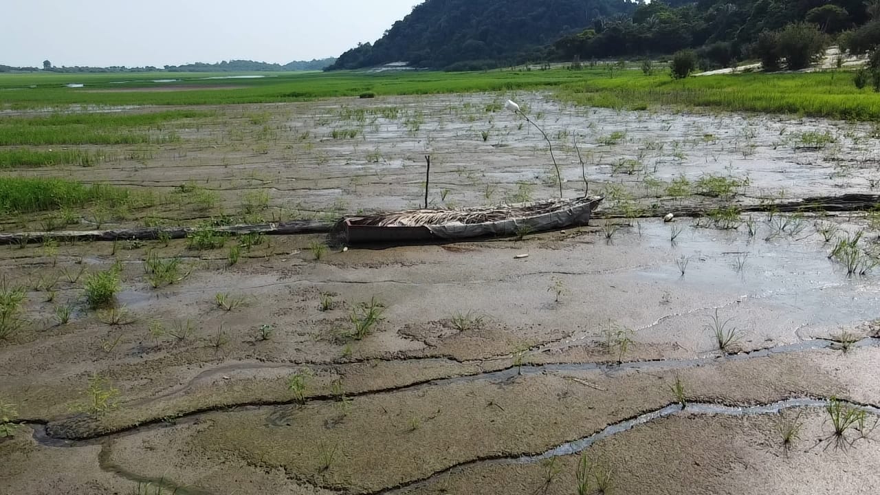 Imagens: Jander Robson/Portal do Holanda