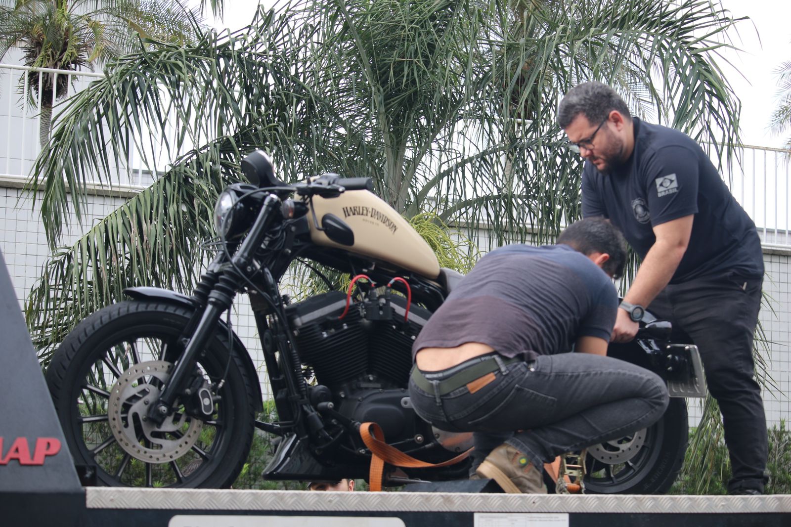 Foto: Jander Robson/Portal do Holanda