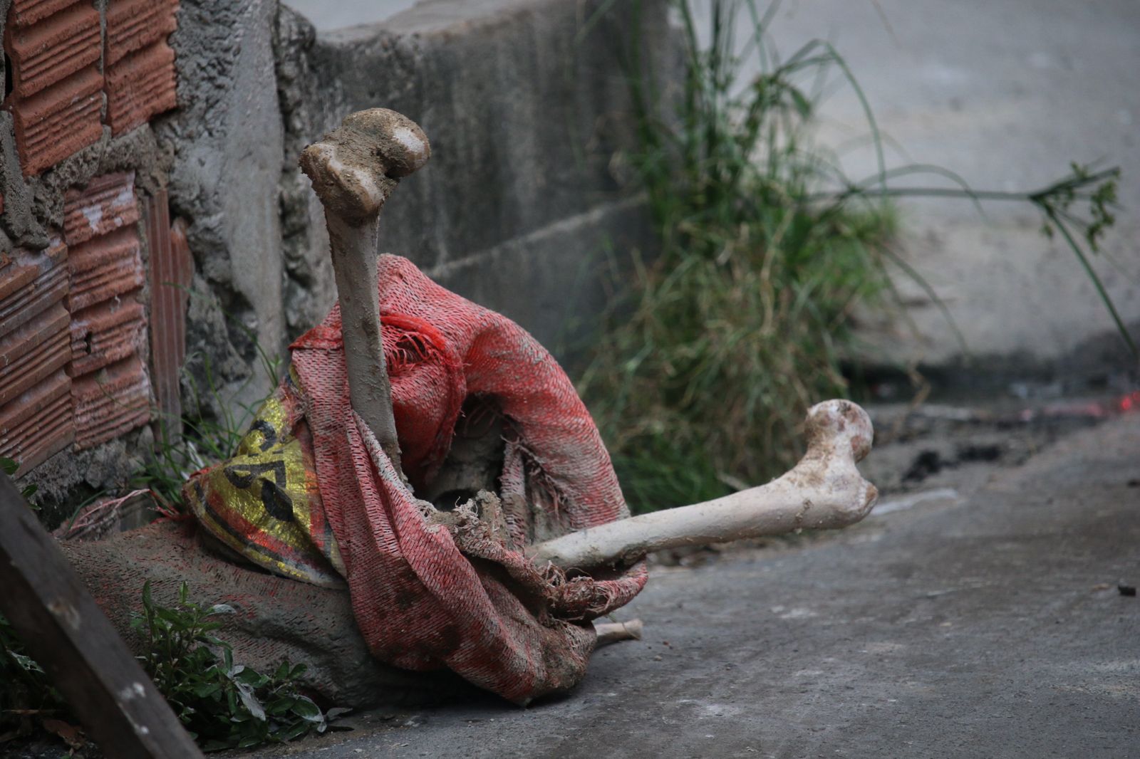 Foto: Jander Robson/Portal do Holanda