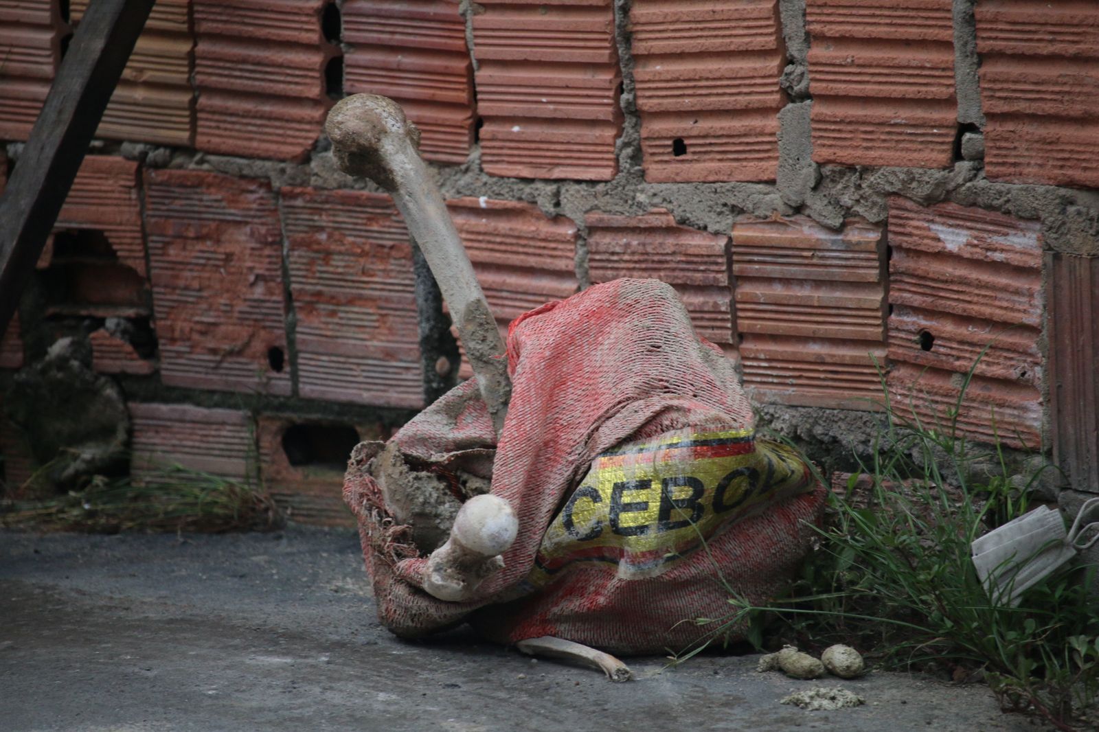 Foto: Jander Robson/Portal do Holanda