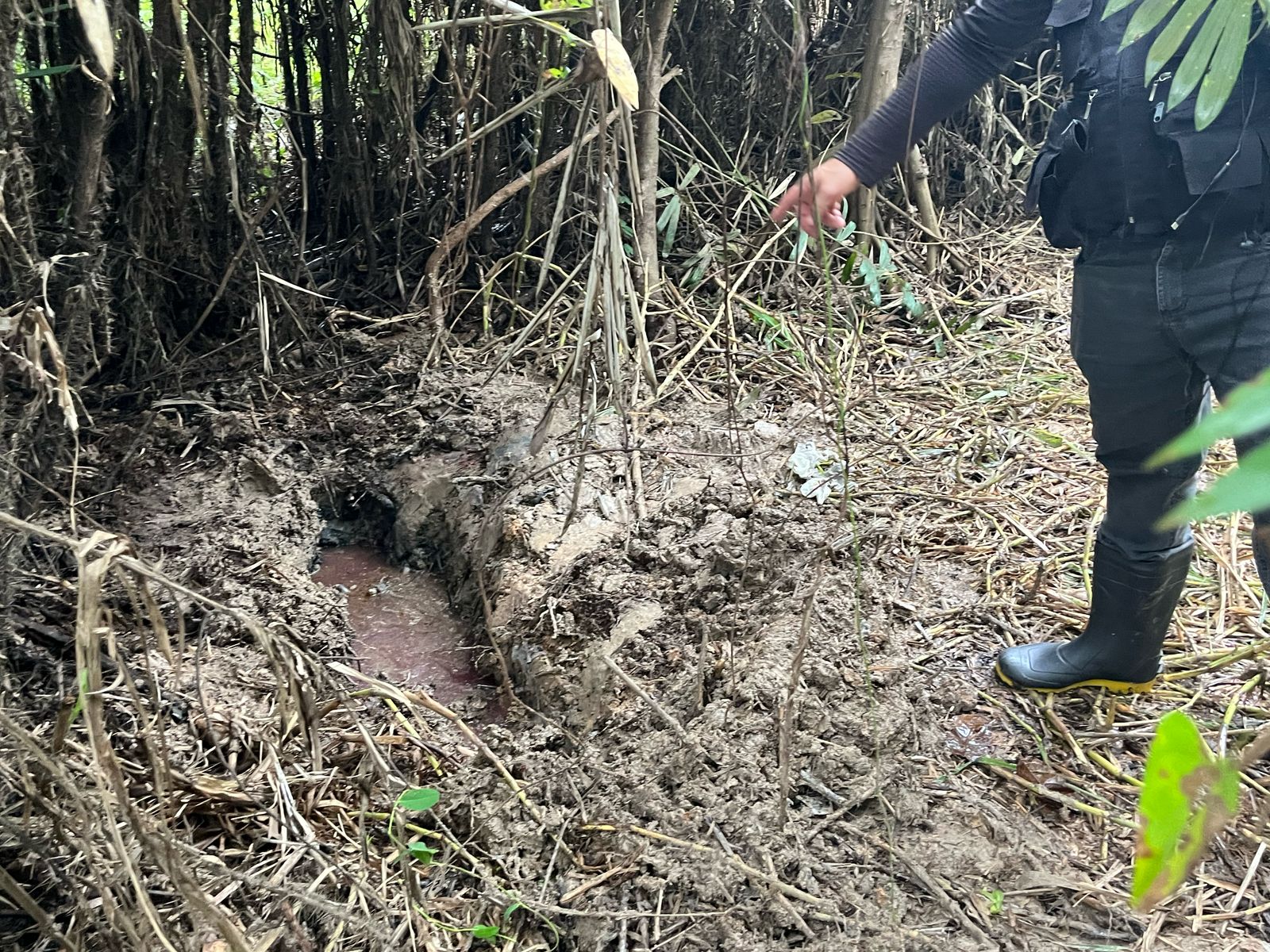 Foto: Jander Robson/Portal do Holanda